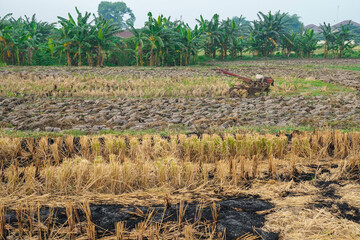 view of rice fields that have been harvested and will be plowed using a tractor to be replanted