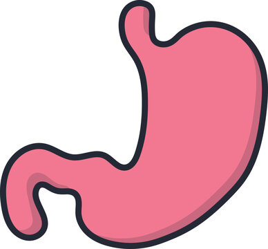 pink stomach organ with black outline clip art preview