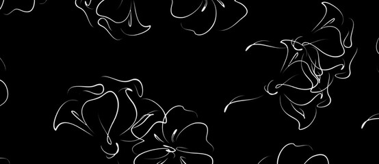 black and white floral line artwork abstract background illustration 