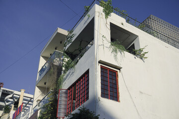 houses in island city