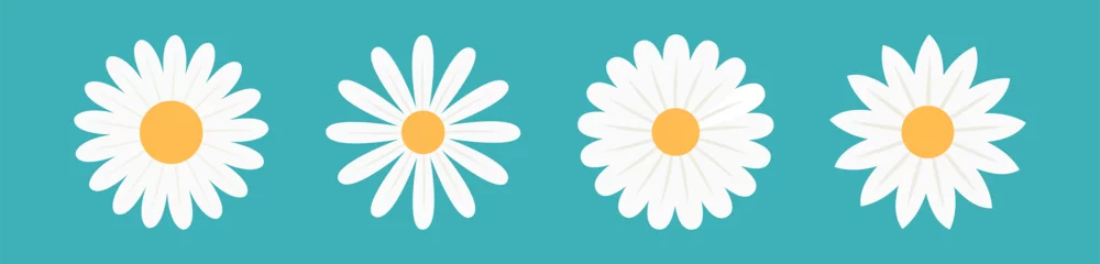 Foto op Plexiglas White daisy camomile set line. Four chamomile icon. Cute round flower head plant collection. Love card symbol. Growing concept. Nature style. Flat design. Isolated. Blue background. © worldofvector