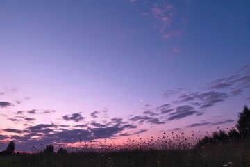 sunset pink purple gently clouds fluffy small sky clear evening