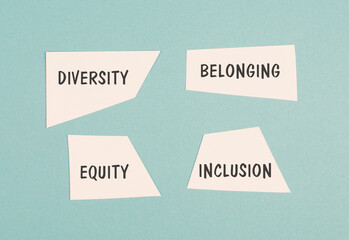 Diversity, equity, belonging and inclusion, human rights, fairness and respect, no discrimination...