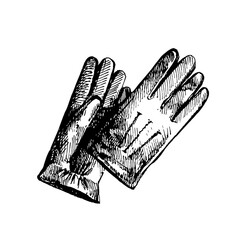 Sketch gentlemen accessory. Hand drawn glove illustration