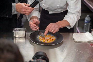 Cooking masterclass for visitors, great chefs high cuisine French restaurants, fine dining, winter...