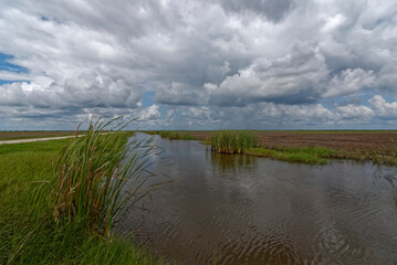 Small Freshwater lake and River courses pass through the Coastal Prairie of the San Bernard National Wildlife Refuge on the Gulf Coast of Texas.