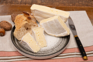 French soft Camembert cheese, original Camembert de Normandie