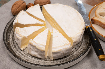 French soft Camembert cheese, original Camembert de Normandie