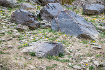 Rocks Lying on a dried pasture. Basalt, gabbro, and serpentinite rocks of Ladakh , India