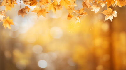 Naklejka na ściany i meble Autumn maple leaves on sunny blurred trees. Fall