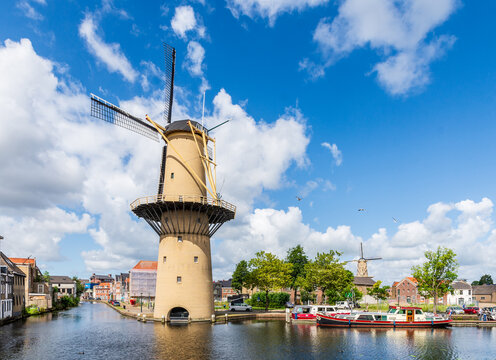 Schiedam, Netherlands - July 30, 2023: Cityscape of the Schiedam windmills, the tallest classic windmills in the world, with the Kameel windmill and the Palmboom windmill in the distance.