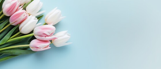 A bouquet of tulip flowers on a blue background top-down view. Generative ai
