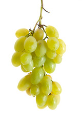 Bunch of organic green grapes isolated on white background.