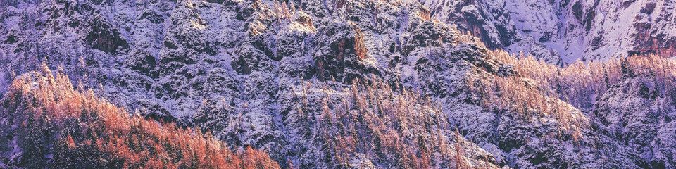 View of snowy mountain slope with trees covered with snow. Nature background. Horizontal banner