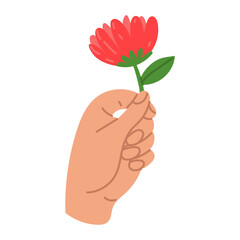 Handing over a flower. A hand holds a flower for a banner, the Internet. The gift is in your hand. Vector illustration of a flat style. Fingers holding a lush pink flower. An isolated hand with a gift