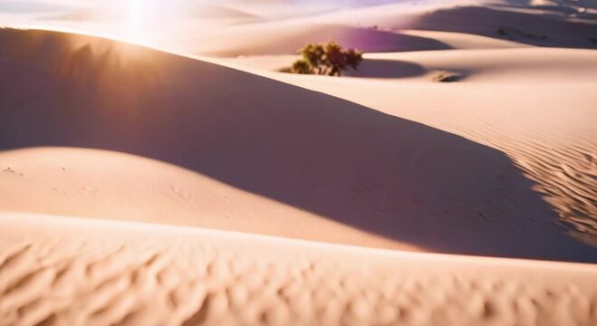sunset while in the desert video footage 2k 60fps