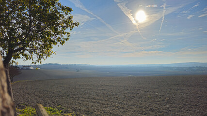 Sunrise Over a Tranquil Countryside Landscape with Lush Fields and Clear Skies