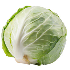 cabbage head - isolated on transparent backgorund