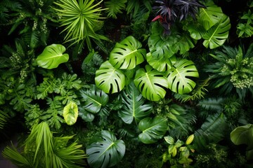 Overhead view of a tropical garden featuring a variety of green leaves, Generative AI