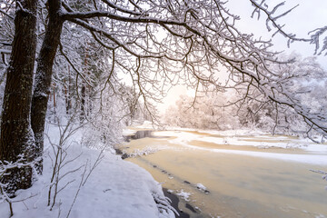 Winter forest on the river at sunset. Colorful landscape with snow-covered trees, frozen river....