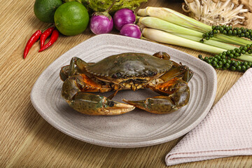 Delicous fresh raw uncooked crab © Andrei Starostin