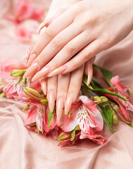 Elegant pastel pink natural manicure.