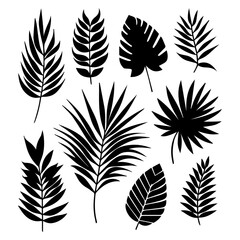 minimal tropical leave vector silhouette, black color silhouette, white background