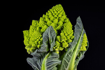 Romanesco broccoli or broccolo romanesco or romanesque cauliflower or romanesco isolated on a black...
