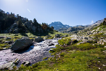 Summer landscape in Aiguestortes and Sant Maurici National Park, Spain