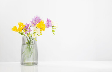   freesia flowers  in glass modern vase on white background