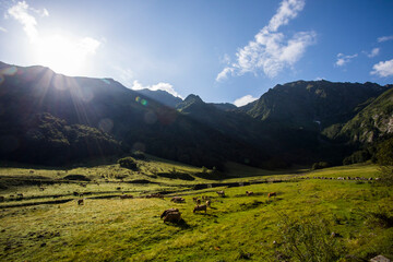 Summer in Uelhs Deth Joeu waterfall, Val D Aran, Spain