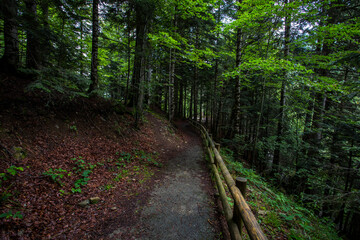 Summer in Uelhs Deth Joeu waterfall, Val D Aran, Spain