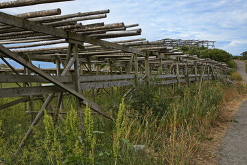Wooden construction for drying of fish in Henningsvaer on Lofoten in Nordland county, Norway,...