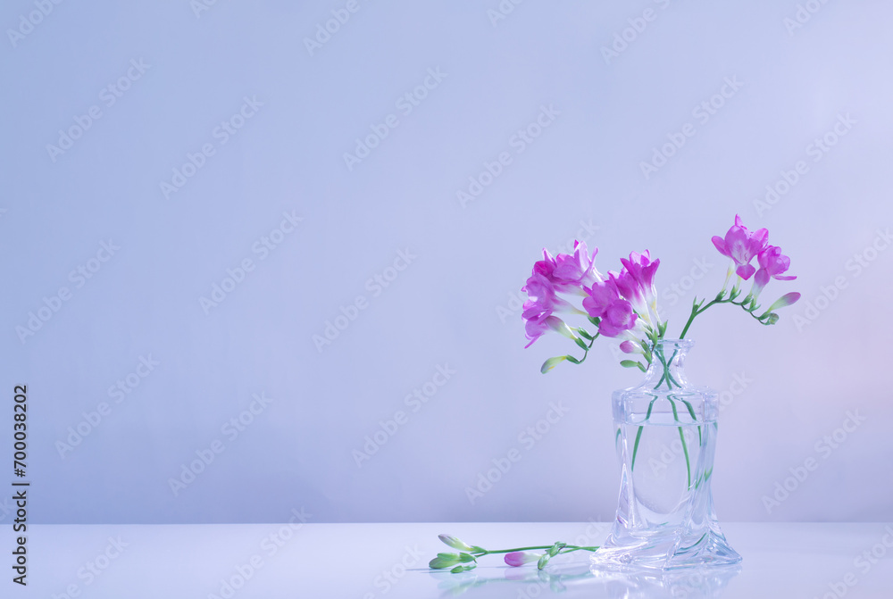 Wall mural purple freesia in glass vase on blue background