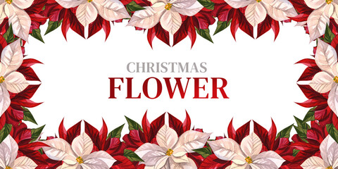 Horizontal banner of white and red poinsettia. Christmas flower. Watercolor illustration of New Year's card. For background design, textiles, packaging