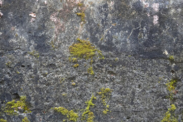 Lichen on ston old vintage grunge concrete cement bricks wall background wallpaper
