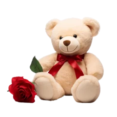 Foto op Plexiglas teddy bear with rose © wiibu