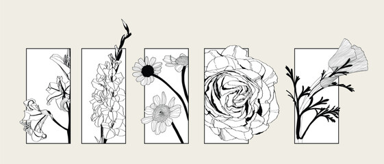Illustration with big collection of spring and garden flowers frame background. Lilies, rose and garden flowers. Decorative element, card, logo, poster.