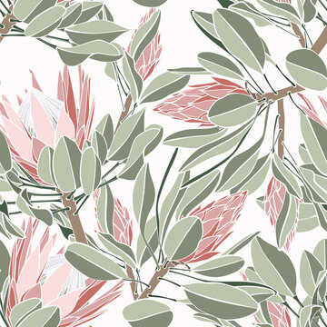 Vintage african seamless pattern.Tropical flowers background. Banksia, protea line illustration.