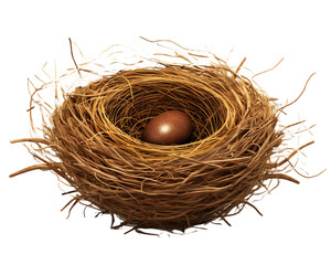 a brown egg in a nest