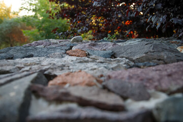 Naklejka na ściany i meble autumn leaves on the rocks