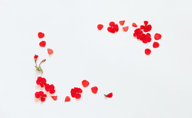 frame of red geranium on white background