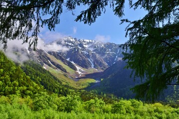 新緑の上高地