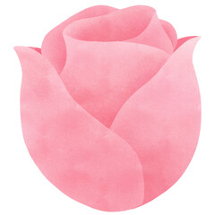 pink rose watercolor clip art