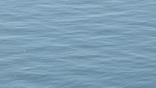 Beautiful blue waves waving slowly in a calm sea