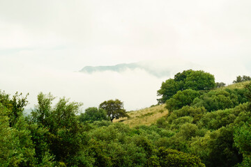 Fototapeta na wymiar Barbagia nella nebbia. Oliena. Sardegna, Italy