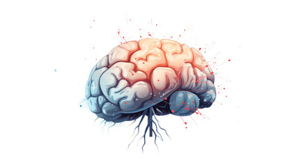 scientific Illustration of the human brain. Transparent, Isolated. AI Generative - obrazy, fototapety, plakaty