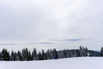 Snowy track, pine trees and cloudy sky