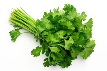 Fresh parsley, viewed from above, isolated on white.