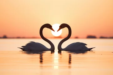 Rolgordijnen silhouette of swans at sunset, necks form heart © Natalia